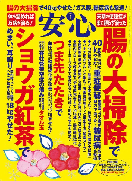 安心 2016年1月号 (発売日2015年12月02日) 表紙