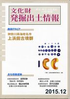 文化財発掘出土情報 12月号 表紙