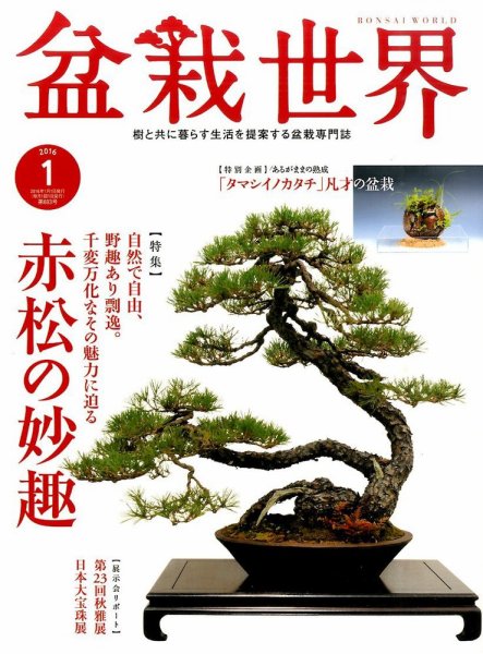 盆栽世界 2016年1月号 (発売日2015年12月04日) 表紙