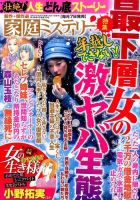 家庭ミステリー 2016年1月号 (発売日2015年12月07日) 表紙