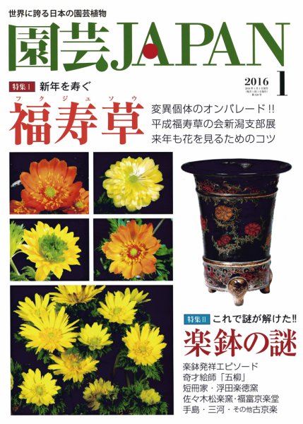 園芸Japan 2016年1月号 (発売日2015年12月12日) 表紙