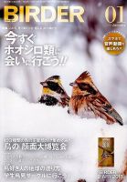 BIRDER（バーダー） 2016年1月号 表紙