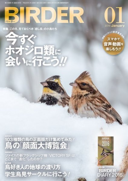 BIRDER（バーダー） 2016年1月号 (発売日2015年12月16日) 表紙