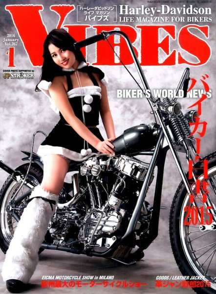 VIBES（バイブズ） 2016年1月号 (発売日2015年12月11日) 表紙