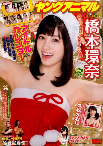 ヤングアニマル 2015年12/25号 (発売日2015年12月11日) 表紙