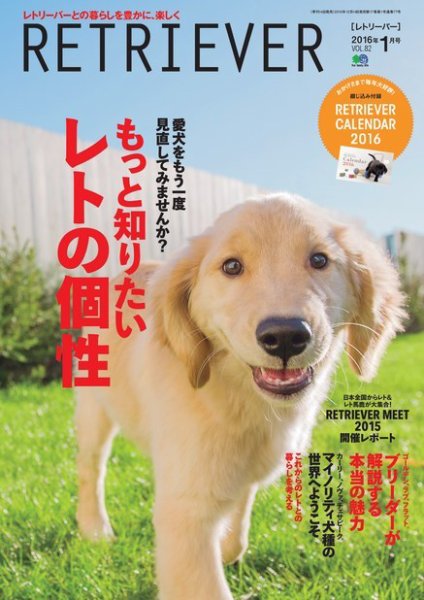 RETRIEVER（レトリーバー） 2016年1月号 (発売日2015年12月14日) 表紙