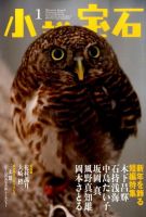 小説宝石 2016年1月号 表紙