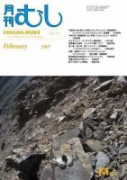 月刊むし 432 表紙
