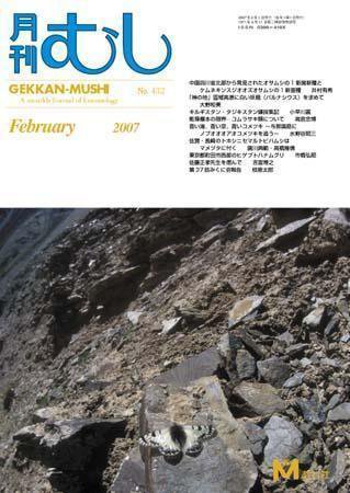 月刊むし 432 (発売日2007年01月20日) 表紙