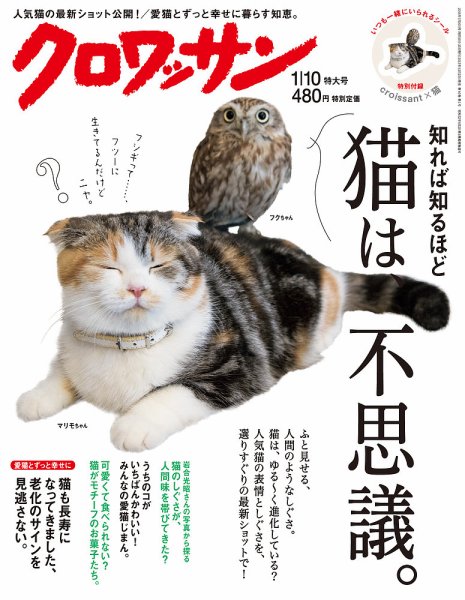 クロワッサン No.916 (発売日2015年12月25日) 表紙