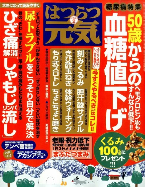はつらつ元気 2016年2月号 (発売日2015年12月28日) 表紙
