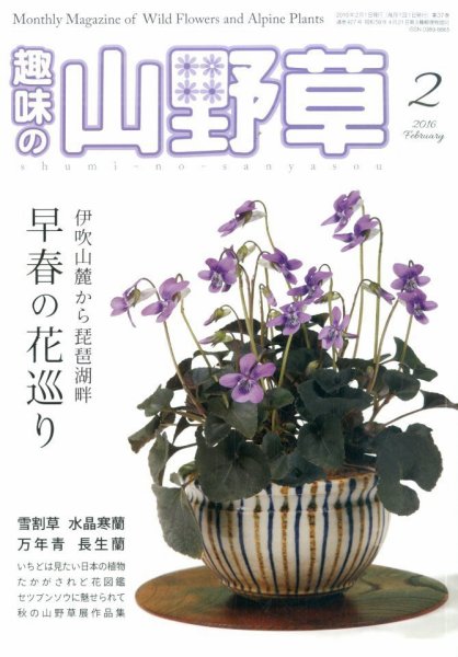 趣味の山野草 2016年2月号 (発売日2016年01月12日) 表紙