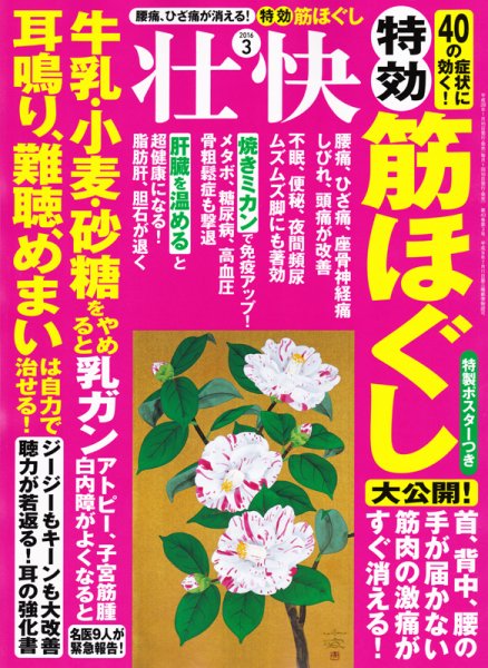 壮快 2016年3月号 (発売日2016年01月16日) 表紙