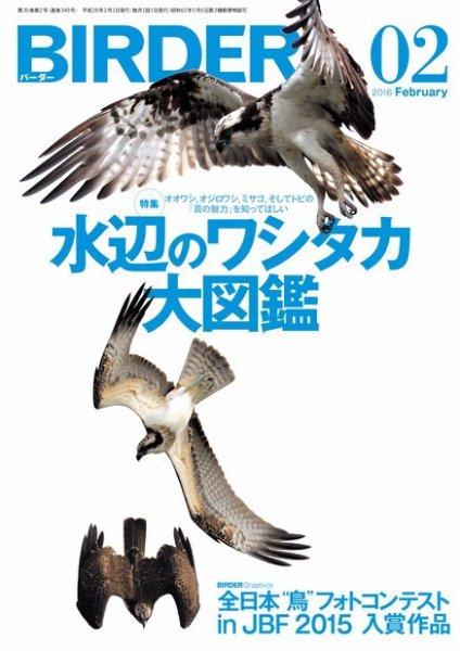 BIRDER（バーダー） 2016年2月号 (発売日2016年01月16日) 表紙