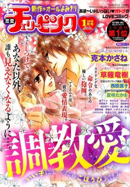 増刊 エレガンスイブ 2016年1月号 (発売日2015年12月07日) 表紙
