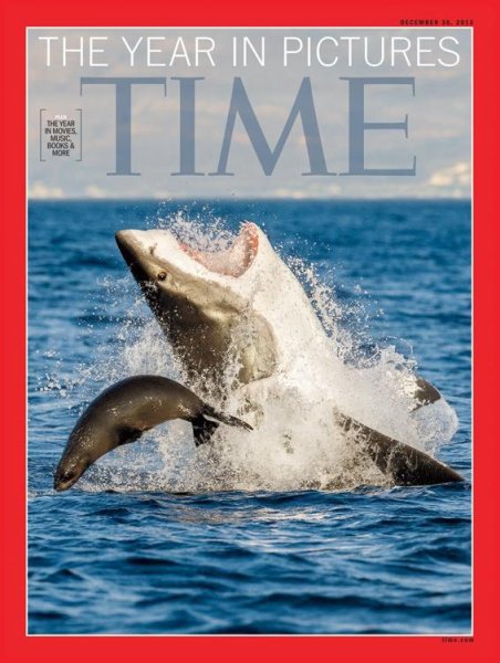 TIME 12/30号 (発売日2013年12月24日) 表紙