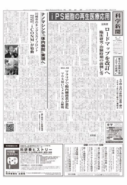 科学新聞 2015年11月20日発売号 表紙