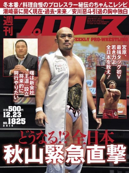 週刊プロレス 2015年12/23号 (発売日2015年12月09日) 表紙