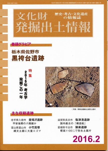 文化財発掘出土情報 2月号 (発売日2016年02月01日) 表紙