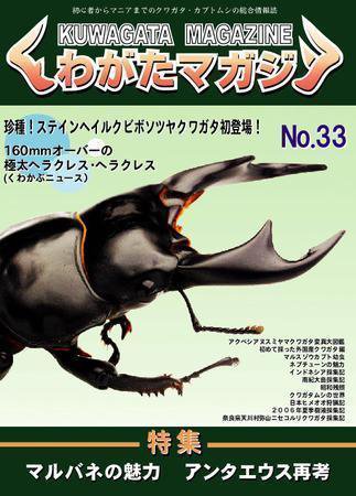 くわがたマガジン 33号 (発売日2007年01月30日) 表紙