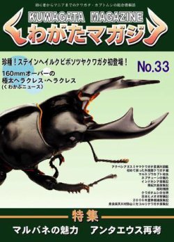 くわがたマガジン 33号 (発売日2007年01月30日) | 雑誌/定期購読の予約 