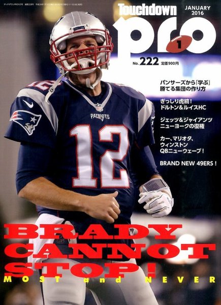 Touchdown PRO No.222 (発売日2015年11月30日) 表紙
