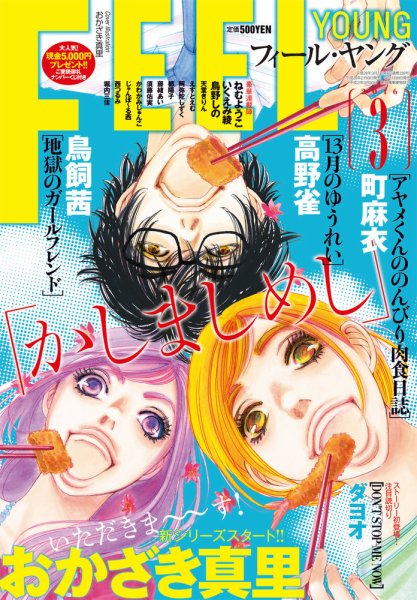 フィールヤング 2016年3月号 (発売日2016年02月08日) 表紙