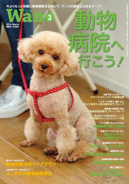 wan（わん） 2016年3月号 (発売日2016年02月13日) 表紙
