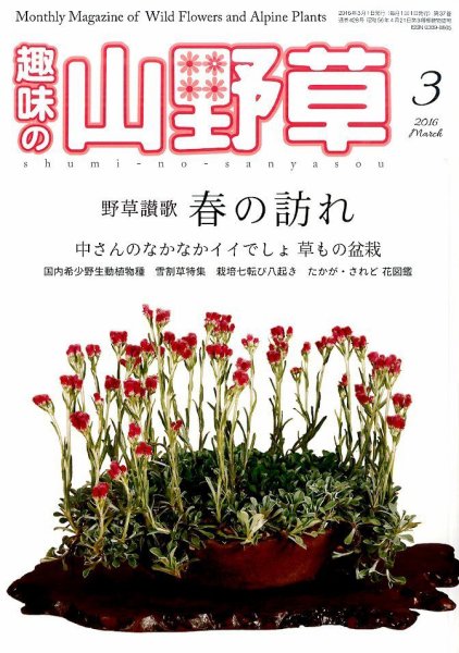 趣味の山野草 2016年3月号 (発売日2016年02月12日) 表紙