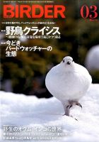 BIRDER（バーダー） 2016年3月号 表紙