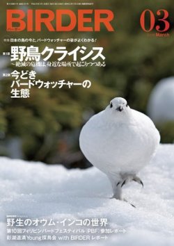 BIRDER（バーダー） 2016年3月号 (発売日2016年02月16日) 表紙