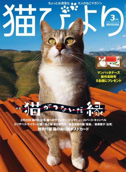 猫びより 86号 (発売日2016年02月12日) 表紙