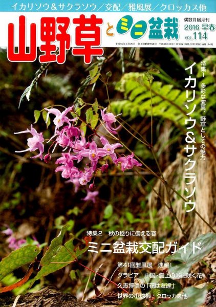 山野草とミニ盆栽 2016年3月号 (発売日2016年02月12日) 表紙