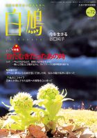 白鳩 No.72 表紙