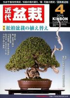月刊 近代盆栽 2016年4月号 表紙