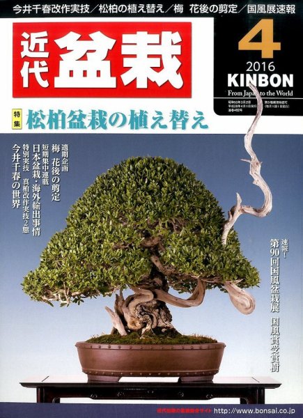 月刊 近代盆栽 2016年4月号 (発売日2016年03月04日) 表紙