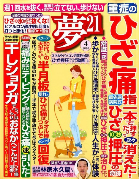 夢21 2016年4月号 (発売日2016年03月02日) 表紙