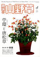 趣味の山野草のバックナンバー (3ページ目 45件表示) | 雑誌/定期購読