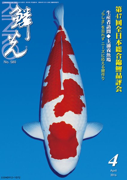鱗光 2016年03月15日発売号 表紙