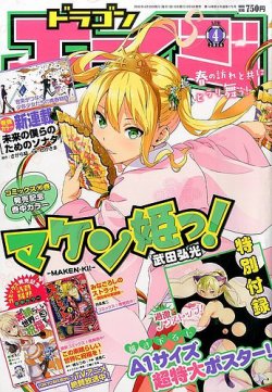 月刊ドラゴンエイジ 2005年1月号～12月号 一年分セット