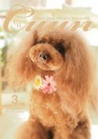 Cuun（クーン） 2016年3月号 表紙