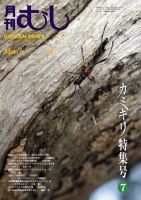 月刊むし 433 表紙