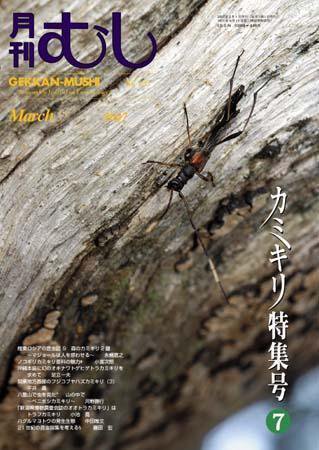 月刊むし 433 (発売日2007年02月20日) 表紙