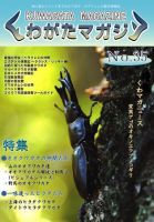 くわがたマガジン 35号 (発売日2007年05月30日) | 雑誌/定期購読
