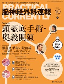 脳神経外科速報 2016年10月号 (発売日2016年09月29日) 表紙