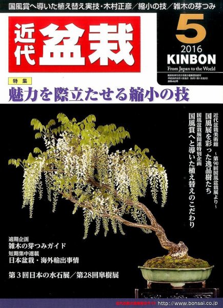 月刊 近代盆栽 2016年5月号 (発売日2016年04月04日) 表紙