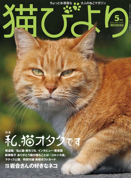 猫びより 87号 (発売日2016年04月12日) 表紙