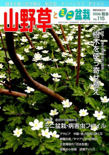 山野草とミニ盆栽 2016年5月号 (発売日2016年04月12日) 表紙