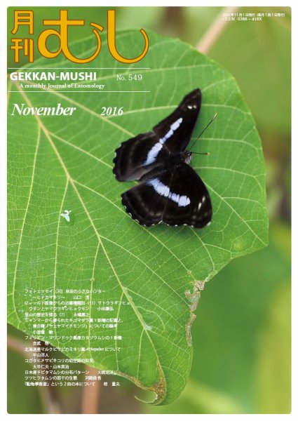 月刊むし 549 (発売日2016年10月24日) 表紙