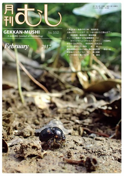 月刊むし 552 (発売日2017年01月21日) 表紙
